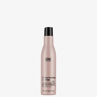 Scenic | System Reconstruction Shampoo
