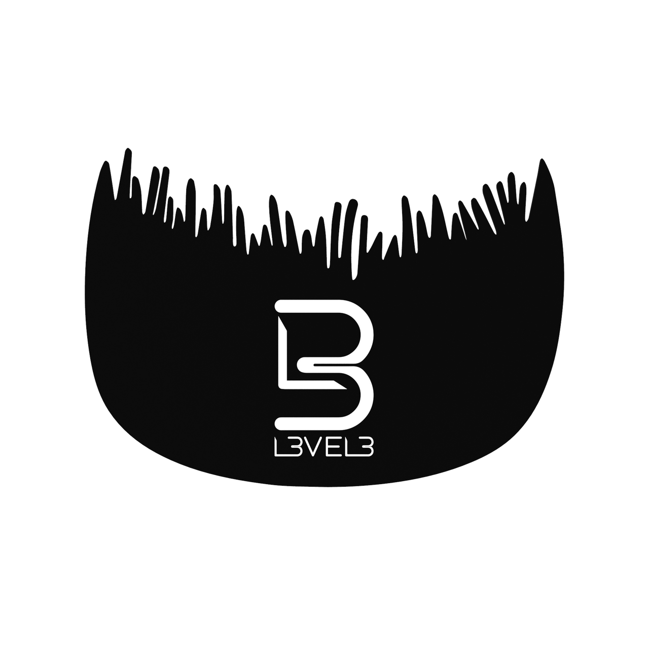 L3vel3 Pettine Hair Fiber